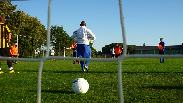 报告指出 报告指出