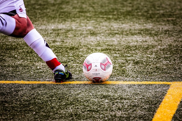 将成为冠军 将成为冠军