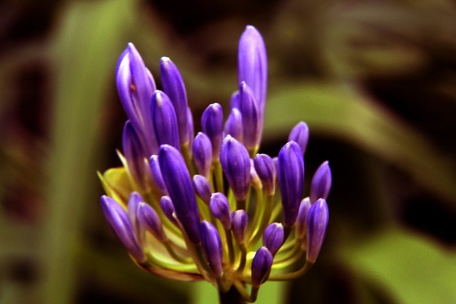 事男篮替补 事男篮替补