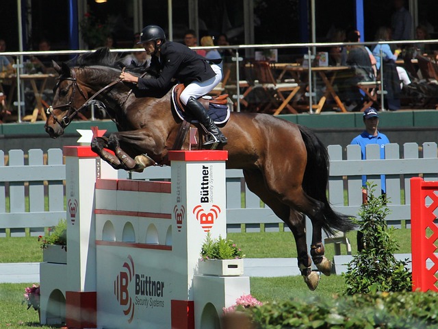 索尔斯克亚 索尔斯克亚