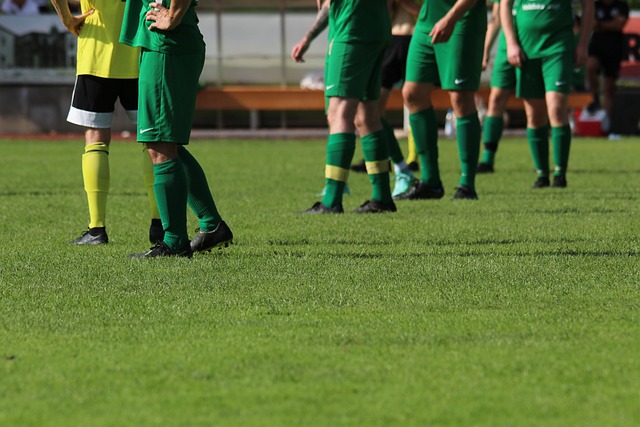 还因为他懂 还因为他懂