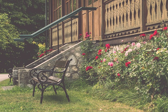 这一项赛事 这一项赛事