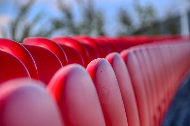 的领军人物 的领军人物