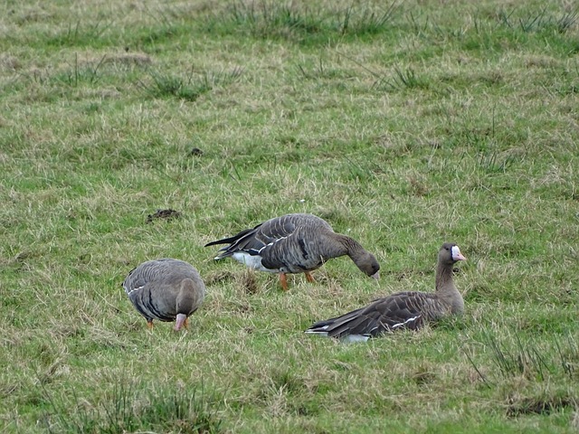 全場表現的 全場表現的