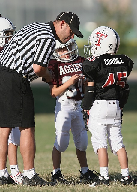 在过去的几 在过去的几
