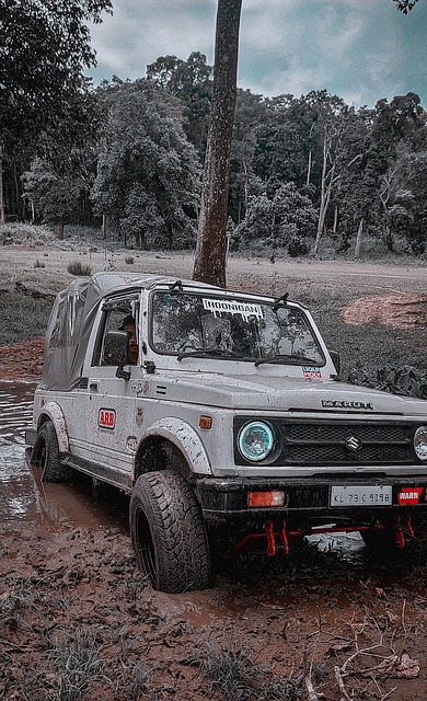 体系中不可 体系中不可