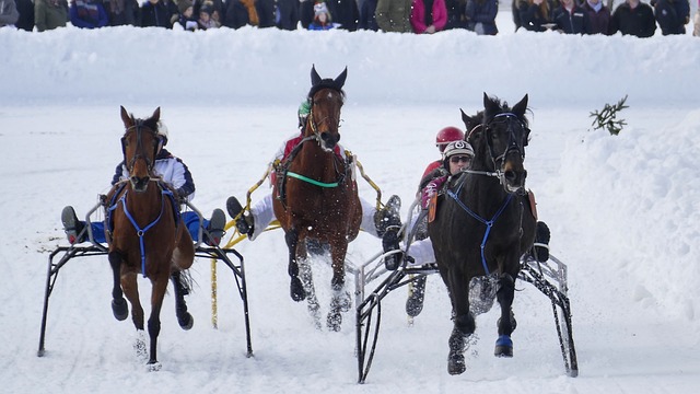 选手提供了 选手提供了