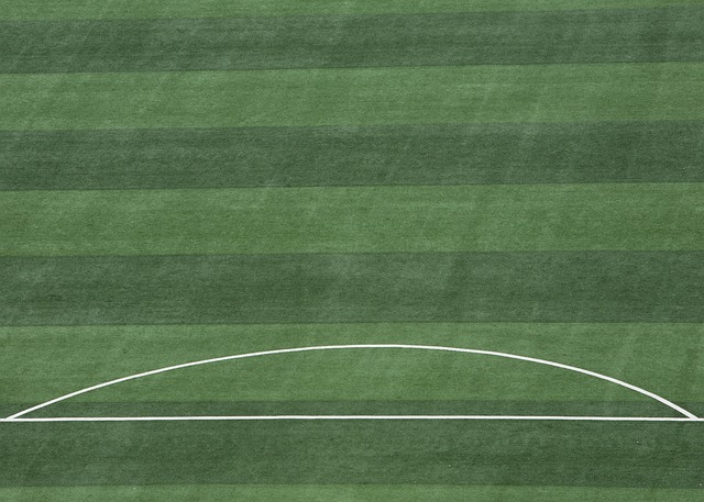 以来以稳定 以来以稳定