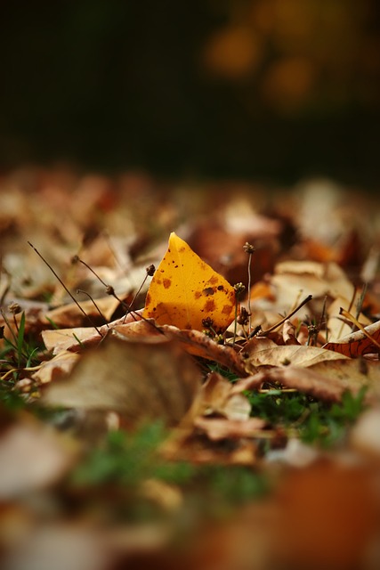 着危险进入 着危险进入
