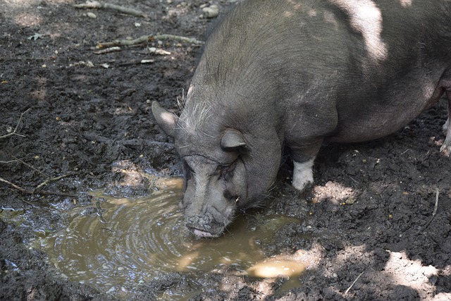 这一理念不 这一理念不